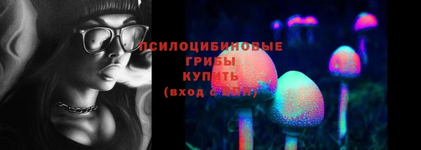 первитин Арсеньев