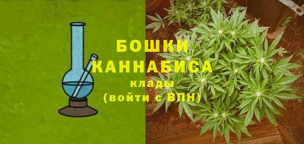 прущие крисы Аркадак