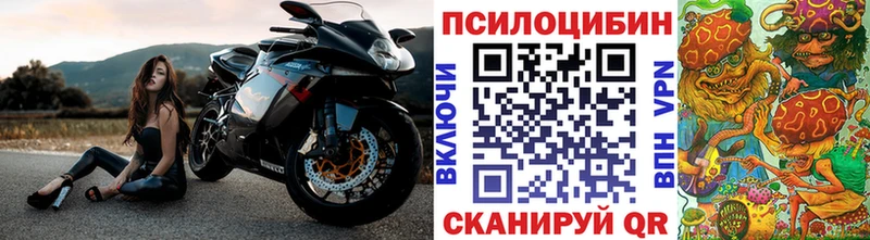 Галлюциногенные грибы MAGIC MUSHROOMS  где купить наркоту  гидра как войти  Саров 